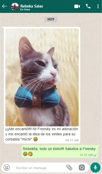 zeoob.com_8w5c4hz7s4_photo